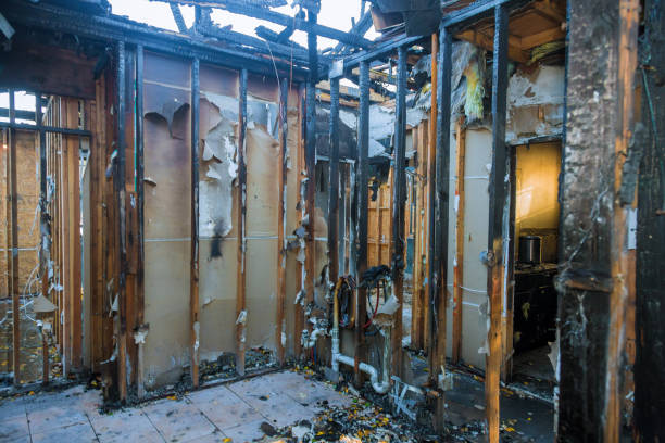 Professional Fire Damage Removal technician working in Lima, PA